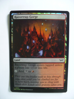 Magic the Gathering 20 Foil Land Cards - Image 3