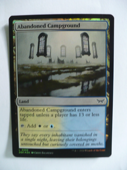 Magic the Gathering 20 Foil Land Cards - Image 4