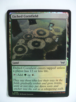 Magic the Gathering 20 Foil Land Cards - Image 5