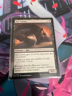 MTG - RAT COLONY - COMMON - DOMINARIA - NM - Image 1