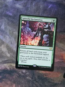 Splendid Reclamation - Image 1