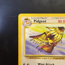 Pokemon Vintage Non-holo Rare Pidgeot Jungle 24/64 WotC 1999 - Image 2