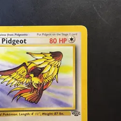 Pokemon Vintage Non-holo Rare Pidgeot Jungle 24/64 WotC 1999 - Image 3