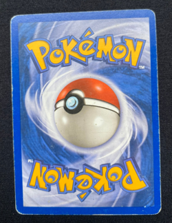 Teddiursa 109/144 Skyridge WOTC Vintage Pokemon 2003 (HP) - Image 2