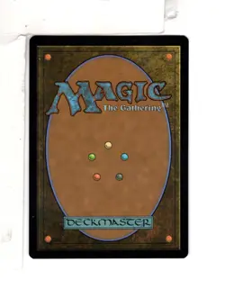 MTG SkeenAB Eowyn Shieldmaiden BORDERLESS FOIL from LTC. NM. - Image 2