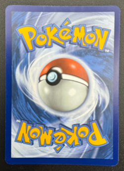 Squirtle 170/165 Pokemon Scarlet & Violet 151 Holo Illustration Rare TCG NM/Mint - Image 2