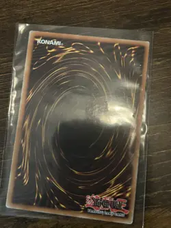 Panther Warrior - CT2-EN006 - Secret Rare - Limited Edition Yu-Gi-Oh - Image 2