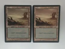 Magic The Gathering TEMPEST Swamp Land #2 Play Wear MTG (2 cards) - Image 1