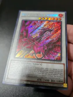 Yugioh Bramble Rose Dragon DOOD-EN039 Secret Rare 1st Edition NM - Image 3
