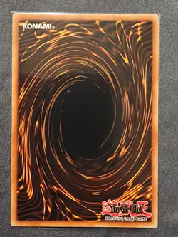 Droll & Lock Bird SR08-EN021 1st Edition Yu-Gi-Oh! Common NM - Image 2