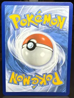 Pokemon TCG Pikachu V SWSH063 SWSH Sword & Shield Black Star Promo Holo Card - Image 2