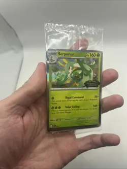 Sealed Pokemon TCG Mega Evolution Perfect Order STAFF Promo 4 Card Pack - Image 2