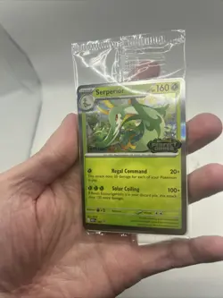 Sealed Pokemon TCG Mega Evolution Perfect Order STAFF Promo 4 Card Pack - Image 3