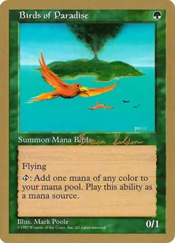 Birds of Paradise World Championship Decks 1998 MP MTG - Image 1