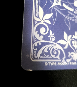 FGO Fate Grand Order Arcade Card Nero Claudius Saber Fatal (Damage) - Image 3