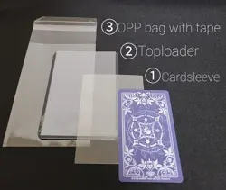 FGO Fate Grand Order Arcade Card Nero Claudius Saber Fatal (Damage) - Image 4