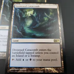 Drowned Catacomb X4 Playset Magic The Gathering (M10/M12) Regular - Image 3