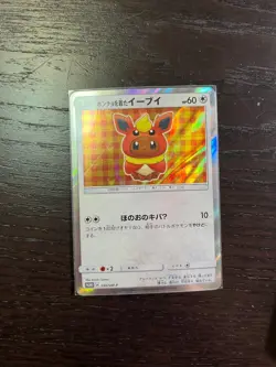 Poncho Wearing Eevee Complete SET Japanese Pokemon Card MINT BRAND NEW - Image 4