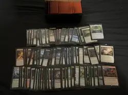 MTG Wilds of Eldraine Full Set Sleeved - Image 1