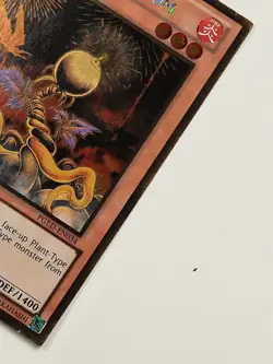 Yugioh Lonefire Blossom PGLD-EN034 GOLD RARE 1st Edition MINT - Image 5