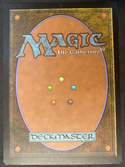 Possessed Aven - MTG Magic - Torment - Signed by Scott M Fischer - Image 2