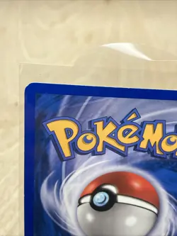 Pokemon TCG Mudkip Non-Holo Card 60/109 EX Ruby & Sapphire 2003 - Image 3