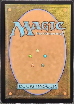 Plains #0272 MTG: Murder at Karlov Manor Foil Land *Buy 2 Get 1 - Image 2