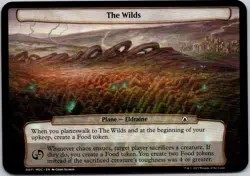 Magic the Gathering The Wilds March of Machine Commander Planechase MTG - Image 1