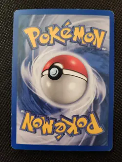 Wailord ex 100/100 Sandstorm Pokemon TCG LP - Image 4
