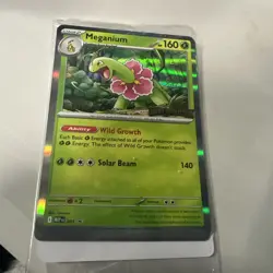 Pokemon Mega Evolutions Staff Promos Set of 4 SEALED in Pack - Image 1