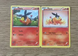 Tepig Black & White Base Set 15/114 16/114 | Lightly Played (exc) | Pokemon TCG - Image 1