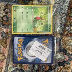 POKEMON 25TH ANNIVERSARY FIRST HOENN PARTNER PACK 3x JUMBO OVERSIZED CARDS NEW - Image 1
