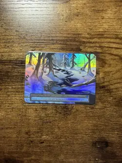 Winter River - FOIL BOX TOPPER- Sorcery Contested Realm - Alpha Edition - Image 1