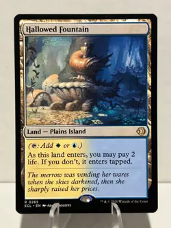 Hallowed Fountain 265 R Lorwyn Eclipsed NM MTG - Image 1