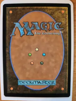 Elusive Otter NM SHOWCASE Wilds of Eldraine MTG FREE SHIPPING - Image 2