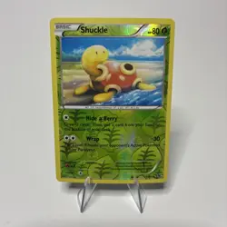 Shuckle 1/124 Pokemon XY Fates Collide Reverse Holo - Image 1
