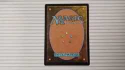 Magic: the Gathering Cards - Coldsnap ~ Rare ~ Rimefeather Owl - Image 3