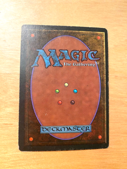 MTG Wheel of Fortune Revised PL - Image 2