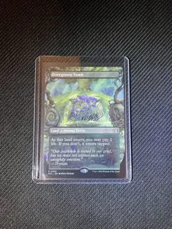Overgrown Tomb (Non-foil) [Borderless] Lorwyn Eclipsed 0350 Rare MTG - Image 1