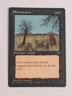 MTG Blight (French Renaissance (BB)/Black/U) - BGM - Image 1
