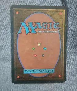 MTG Magic Adarkar Wastes Ice Age Land Card Signed By Mike Raabe English Rare! - Image 2