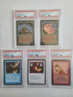 MTG 5 Arabian Nights Cards All PSA 9 MINT Dandan, Ogre, Hurt Jackal+ 1993 RARE - Image 2