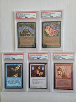 MTG 5 Arabian Nights Cards All PSA 9 MINT Dandan, Ogre, Hurt Jackal+ 1993 RARE - Image 3