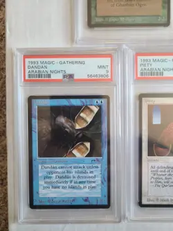 MTG 5 Arabian Nights Cards All PSA 9 MINT Dandan, Ogre, Hurt Jackal+ 1993 RARE - Image 4