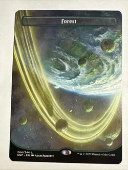 Forest (244) (Borderless) Unfinity Regular - Image 1