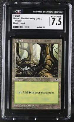 MTG Magic: The Gathering Forest Basic Land Tempest 1997 CGC 7.5 - Image 1
