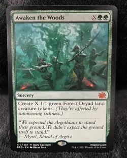 Awaken the Woods The Brothers' War Regular LP - Image 1
