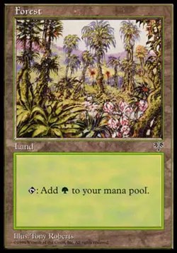 Heavy Play, English MTG Regular Forest (292) Mirage Magic the Gathering - Image 1
