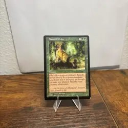 Natural Order Visions Regular - Image 1