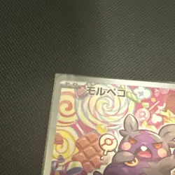 Morpeko AR 076/066 SV4k Ancient Roar Pokemon Card Japanese - Image 5